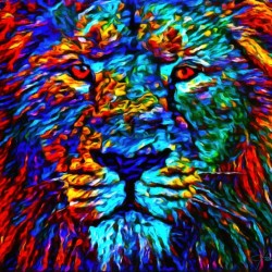 Lion Color Face Painting